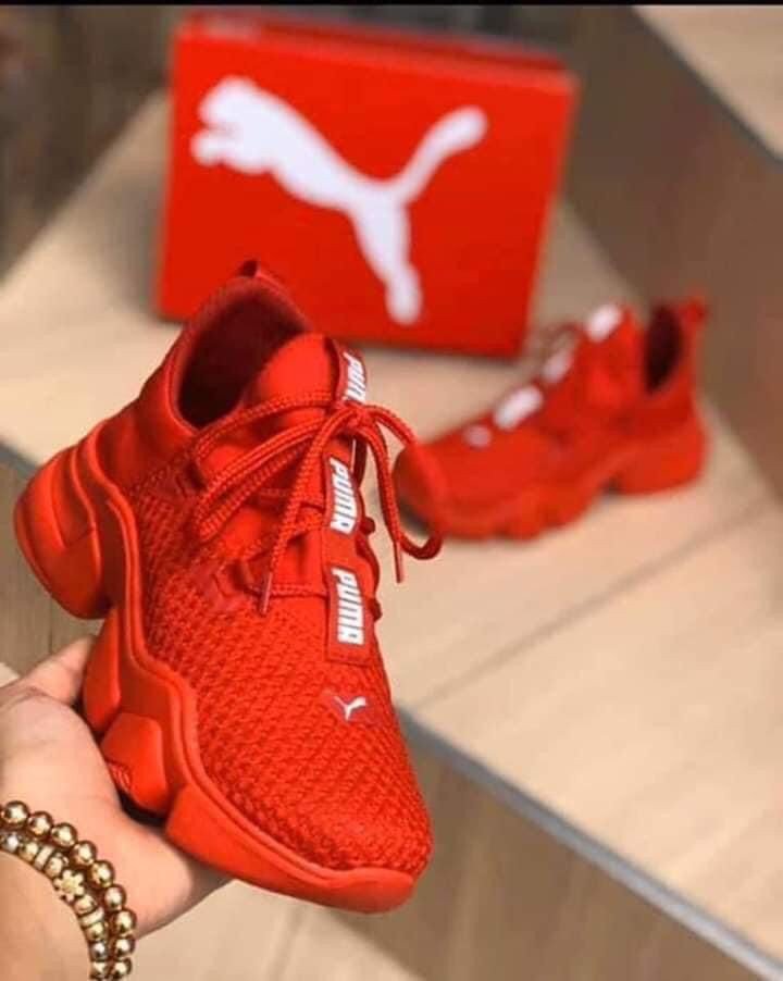besten Sneaker